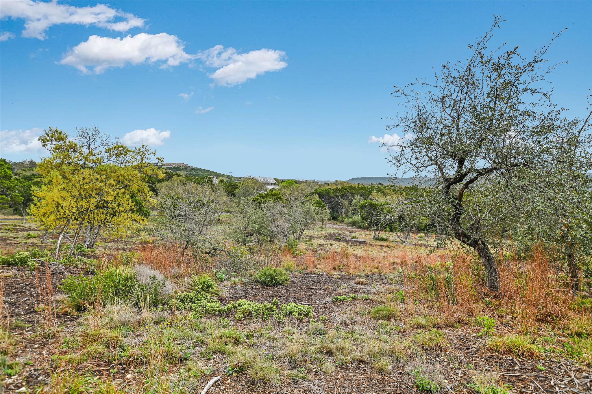 0 Deer Run Road Leander, TX 78641 - Photo 15 of 20 a view of a yard with a house