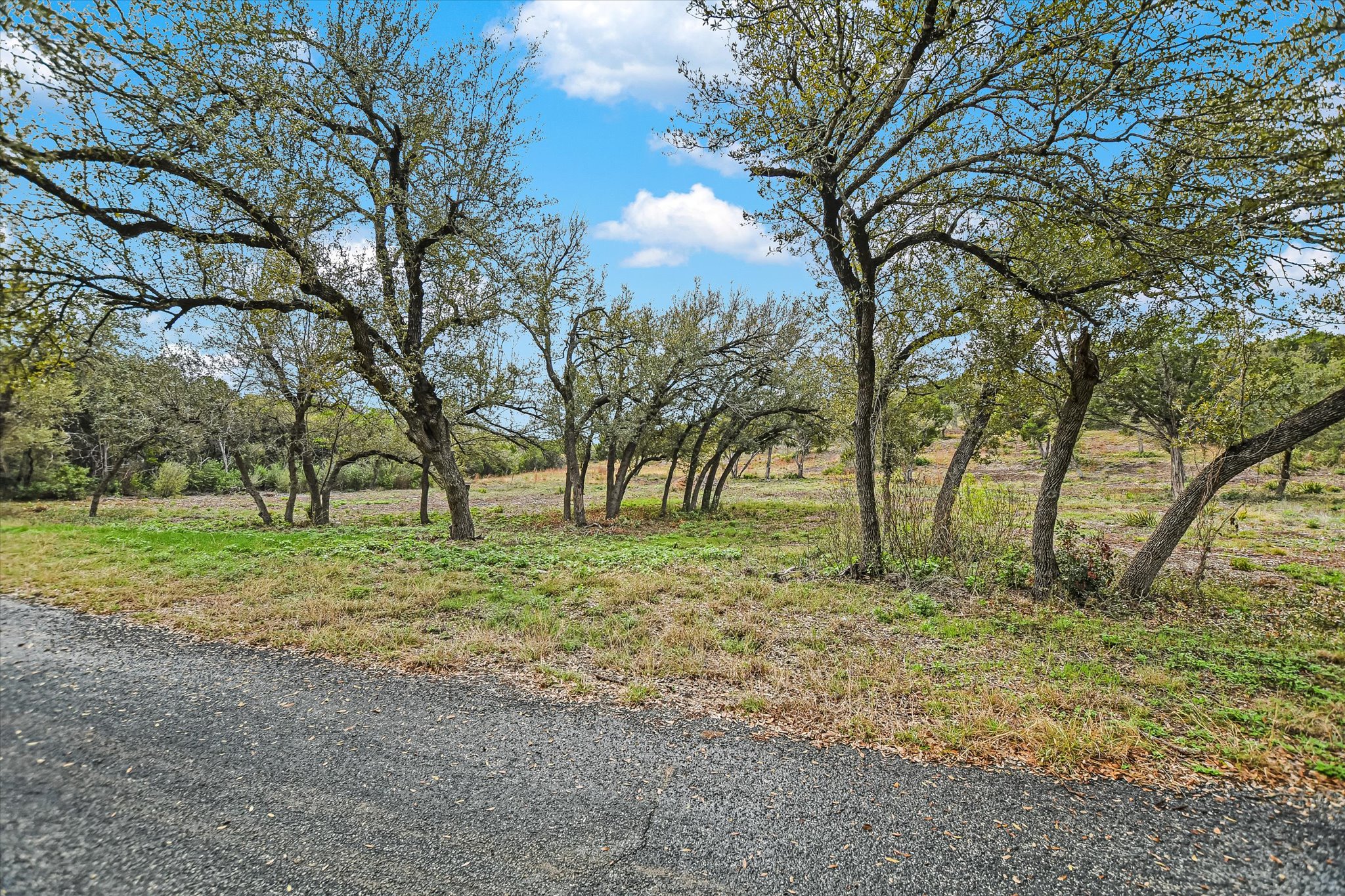0 Deer Run Road Leander, TX 78641 - Photo 18 of 20 a view of a forest with trees