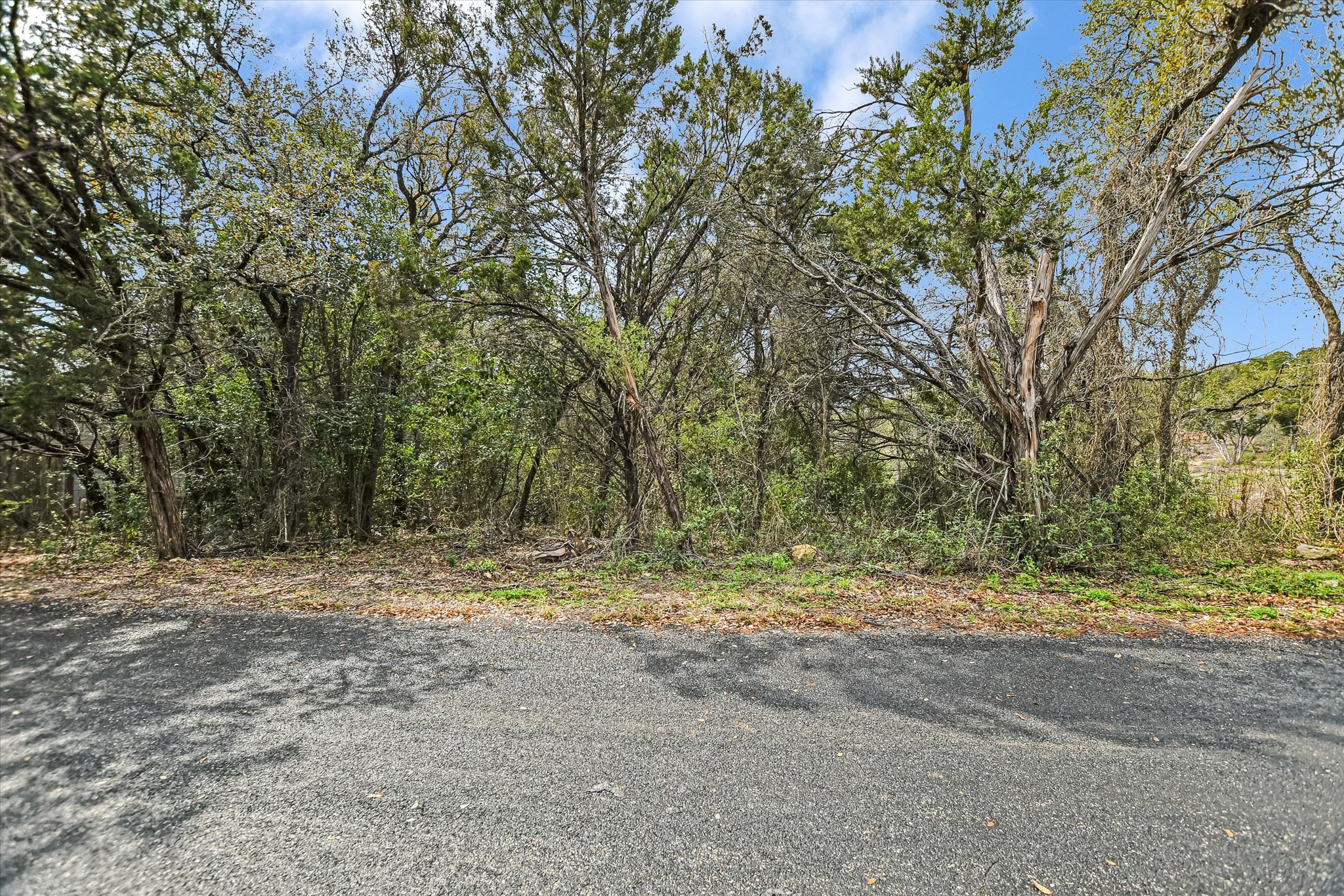 0 Deer Run Road Leander, TX 78641 - Photo 20 of 20 a view of dirt yard with large trees