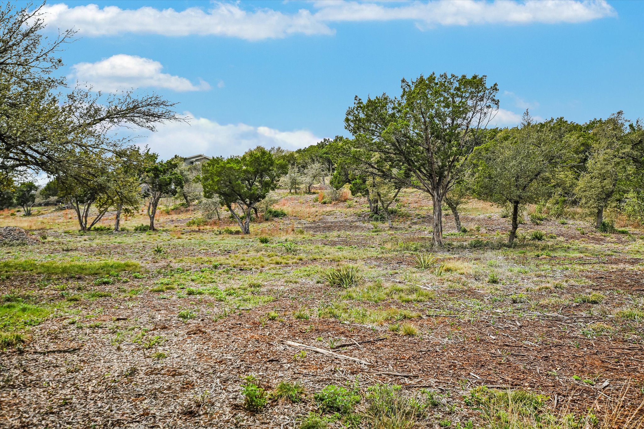 0 Deer Run Road Leander, TX 78641 - Photo 4 of 20 a view of lawn chairs and trees