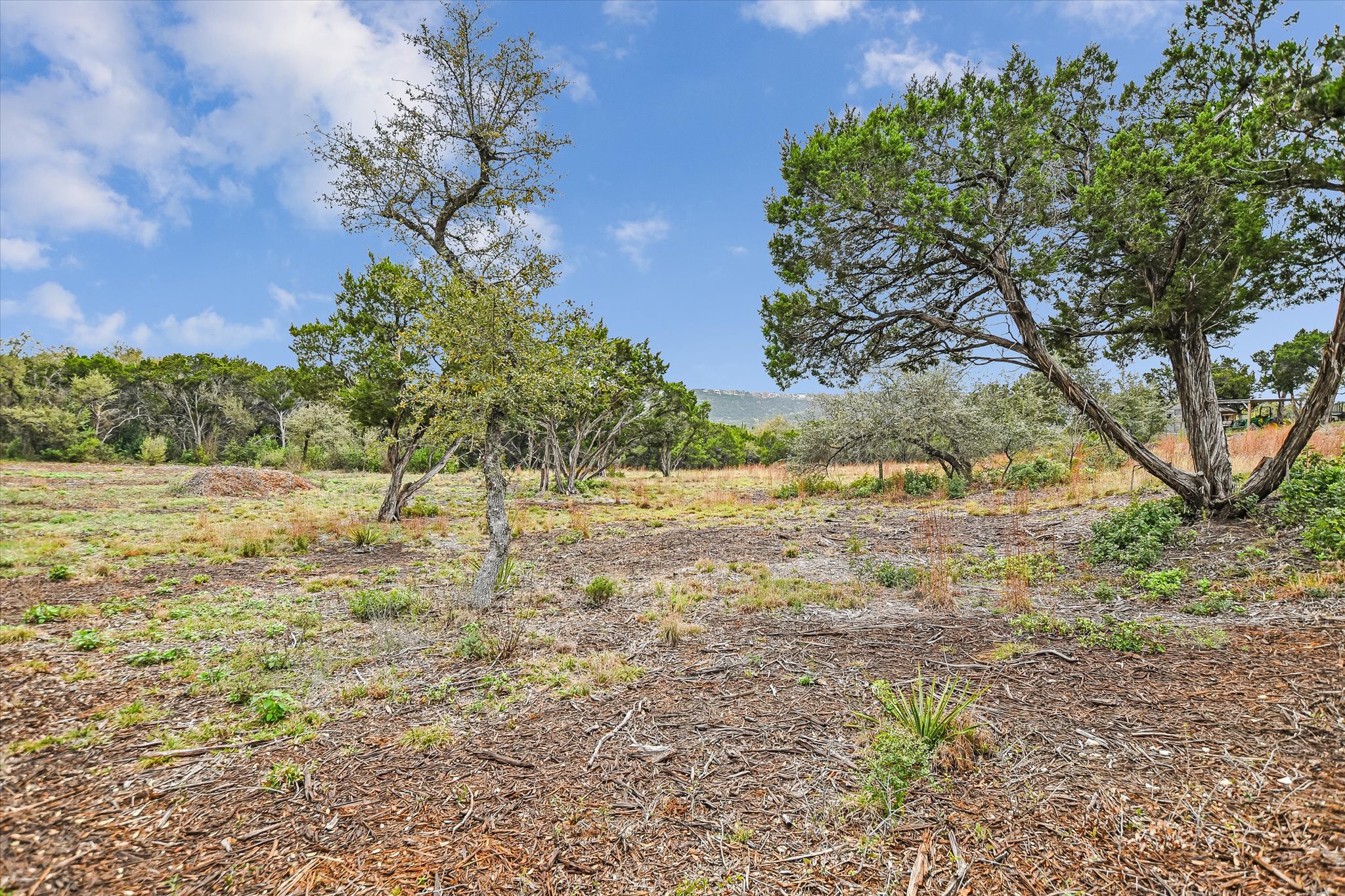 0 Deer Run Road Leander, TX 78641 - Photo 6 of 20 a view of yard with large trees