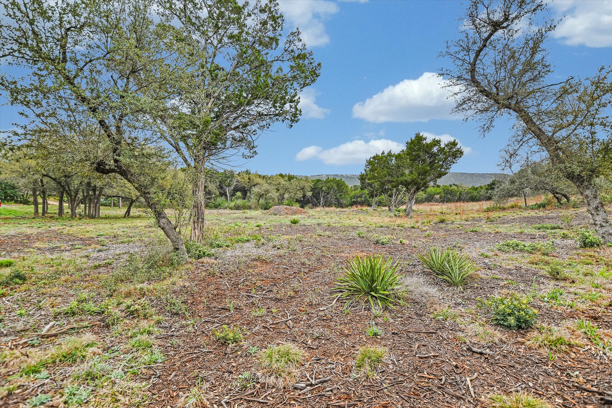 0 Deer Run Road Leander, TX 78641 - Photo 7 of 20 a view of a yard with a tree