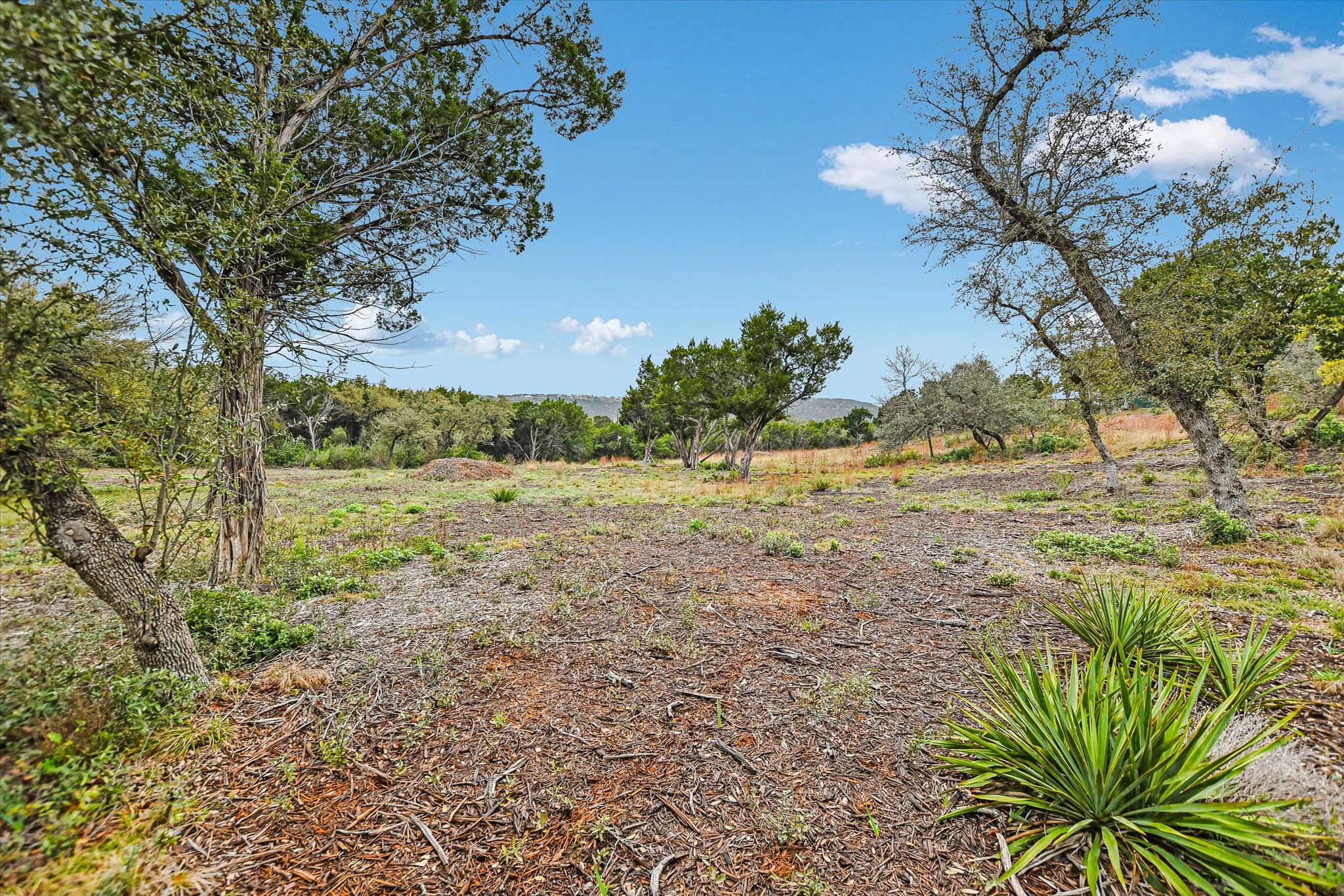 0 Deer Run Road Leander, TX 78641 - Photo 8 of 20 a view of a yard with a tree