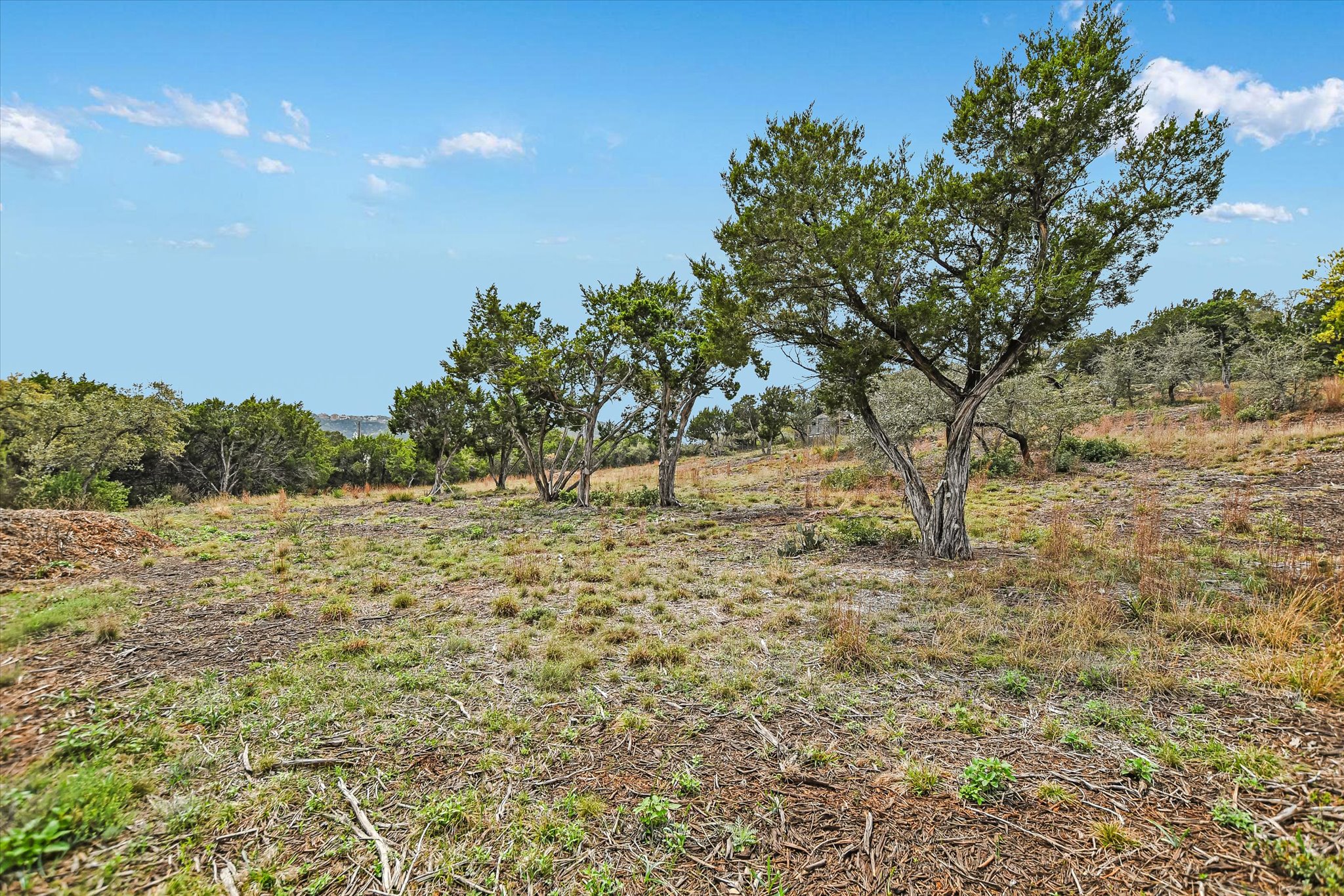 0 Deer Run Road Leander, TX 78641 - Photo 9 of 20 a view of outdoor space with trees