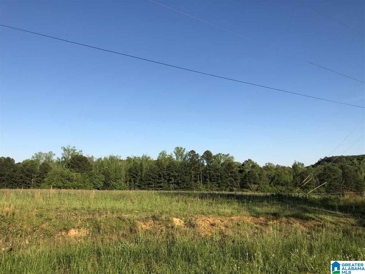 8020 Bob Glenn Road, Unit METES Morris, AL 35116 - Photo 2 of 3