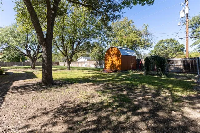 a view of a yard with plants and a large tree