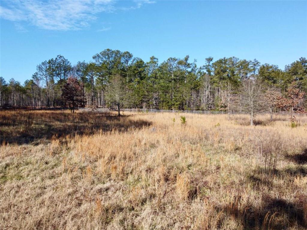 300 Old Social Circle Road Social Circle, GA 30025 - Photo 11 of 22