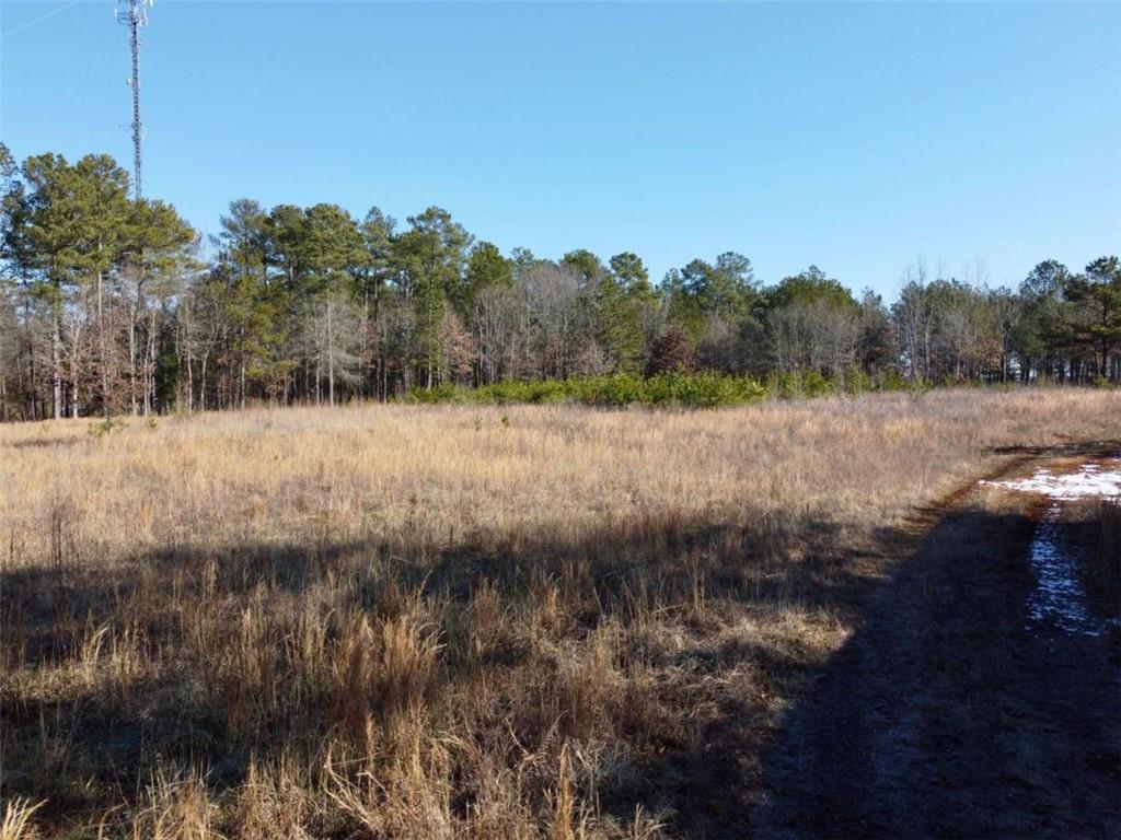 300 Old Social Circle Road Social Circle, GA 30025 - Photo 12 of 22