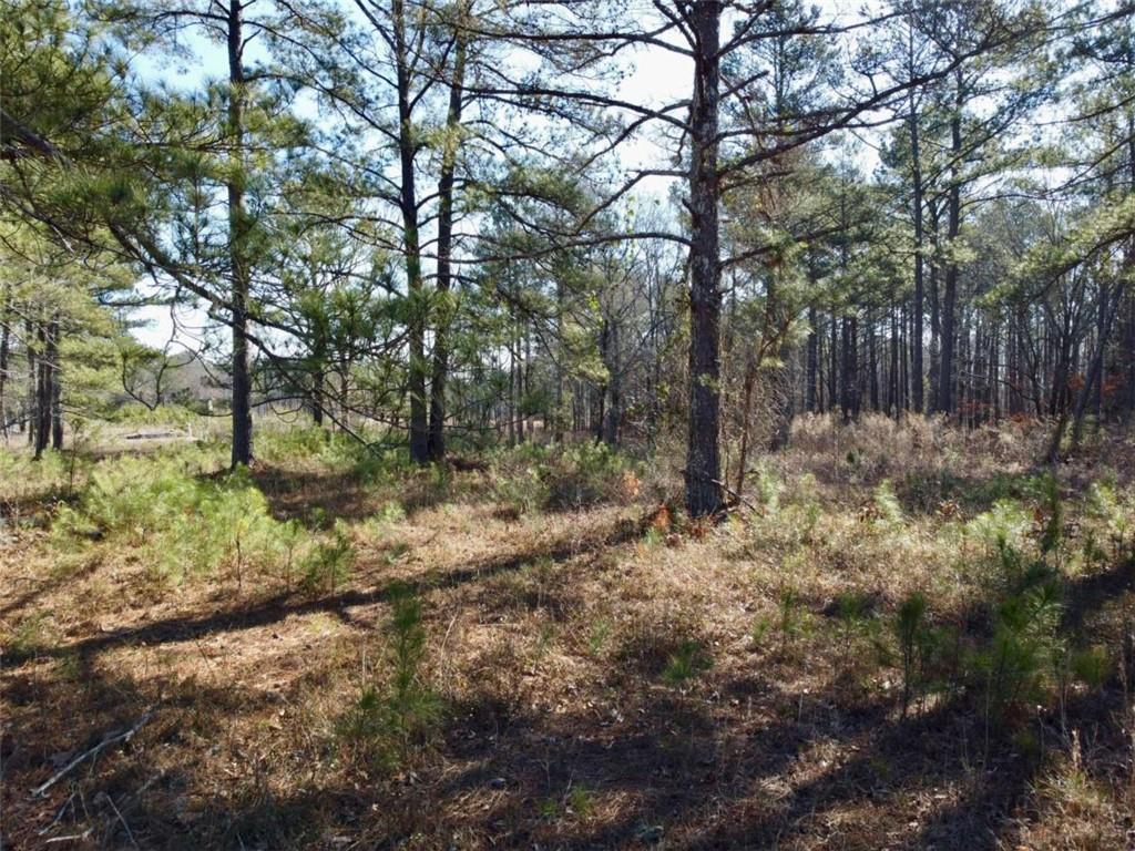 300 Old Social Circle Road Social Circle, GA 30025 - Photo 13 of 22