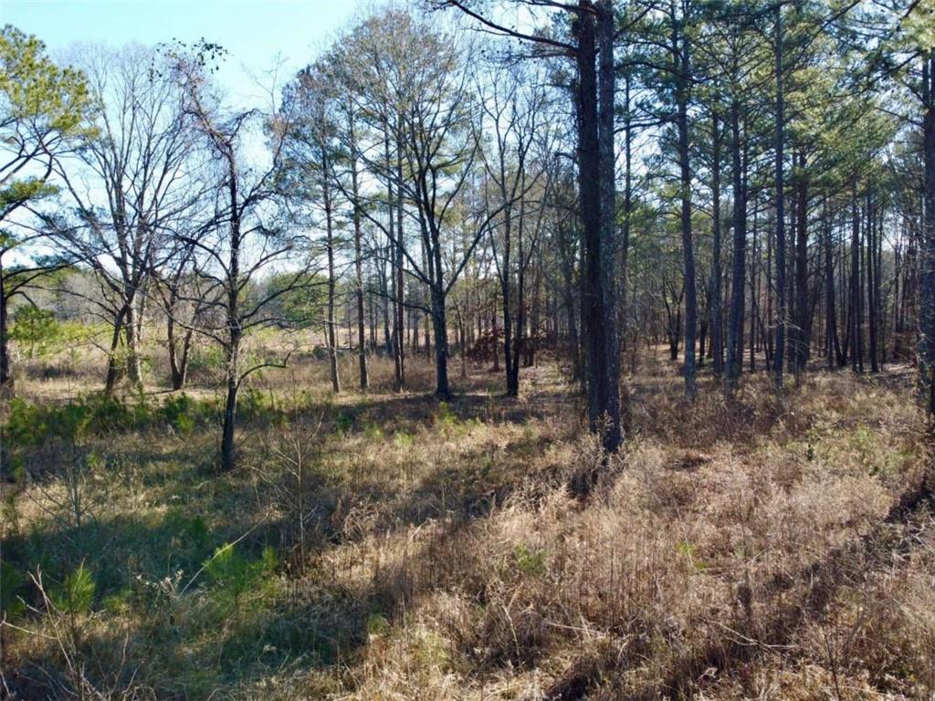 300 Old Social Circle Road Social Circle, GA 30025 - Photo 14 of 22