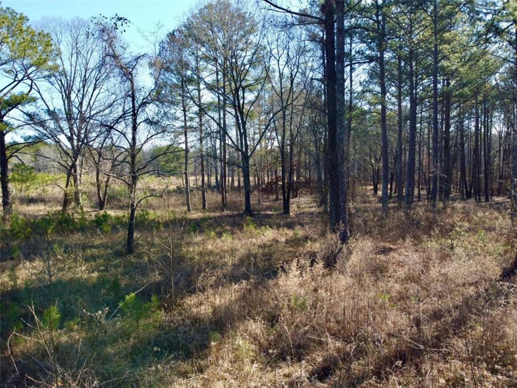 300 Old Social Circle Road Social Circle, GA 30025 - Photo 15 of 22