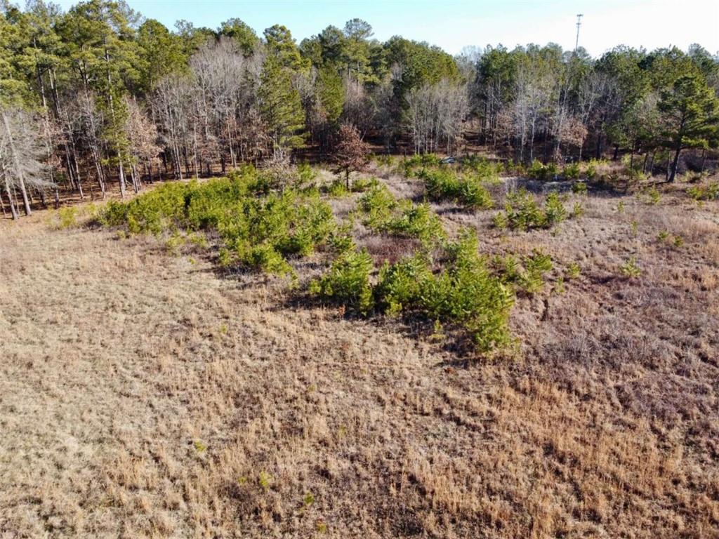 300 Old Social Circle Road Social Circle, GA 30025 - Photo 7 of 22