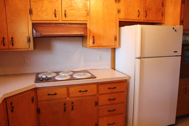 220 Lucy Wade Road Rocky Mount, VA 24151 - Photo 18 of 44 Kitchen - All Appliances convey