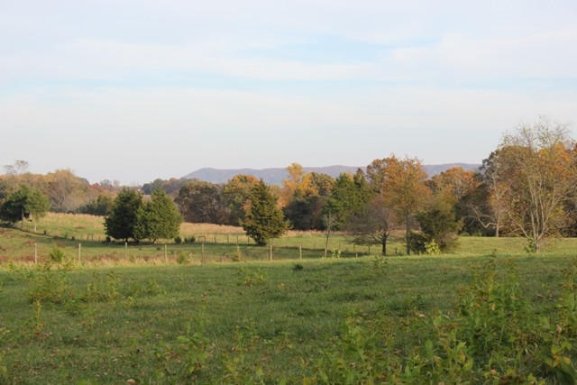 220 Lucy Wade Road Rocky Mount, VA 24151 - Photo 3 of 44 Mountain Views
