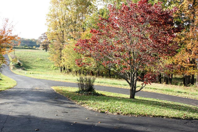 220 Lucy Wade Road Rocky Mount, VA 24151 - Photo 4 of 44 Paved Driveway