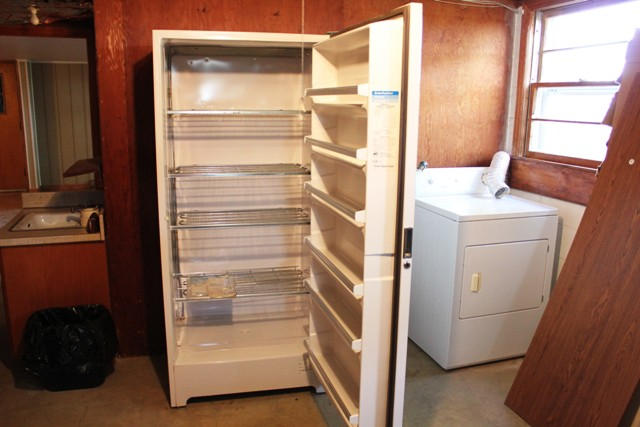 220 Lucy Wade Road Rocky Mount, VA 24151 - Photo 34 of 44 Lower - Freezer conveys