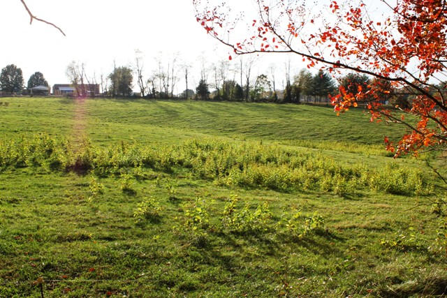 220 Lucy Wade Road Rocky Mount, VA 24151 - Photo 6 of 44 Front Pasture