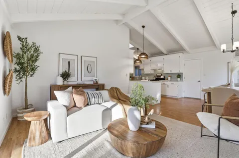 a living room with furniture and a potted plant