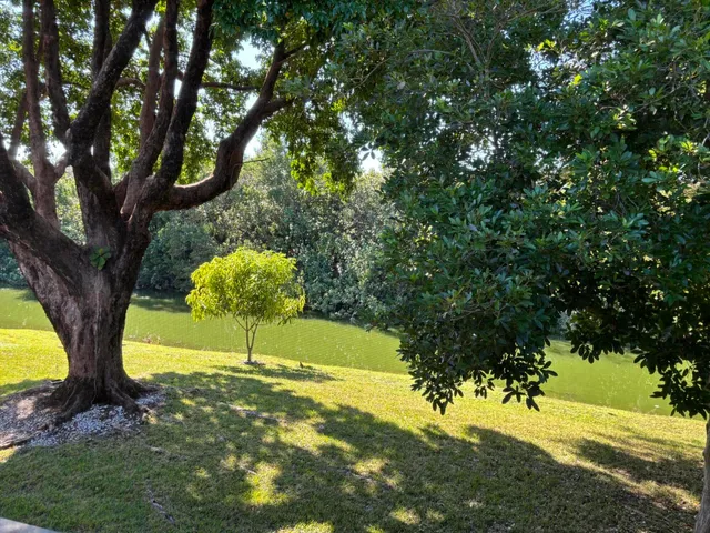 a view of a garden with large trees