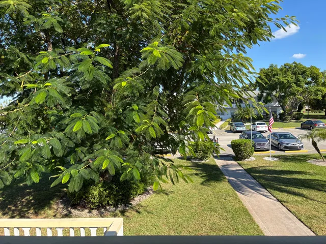 a view of a yard with plants