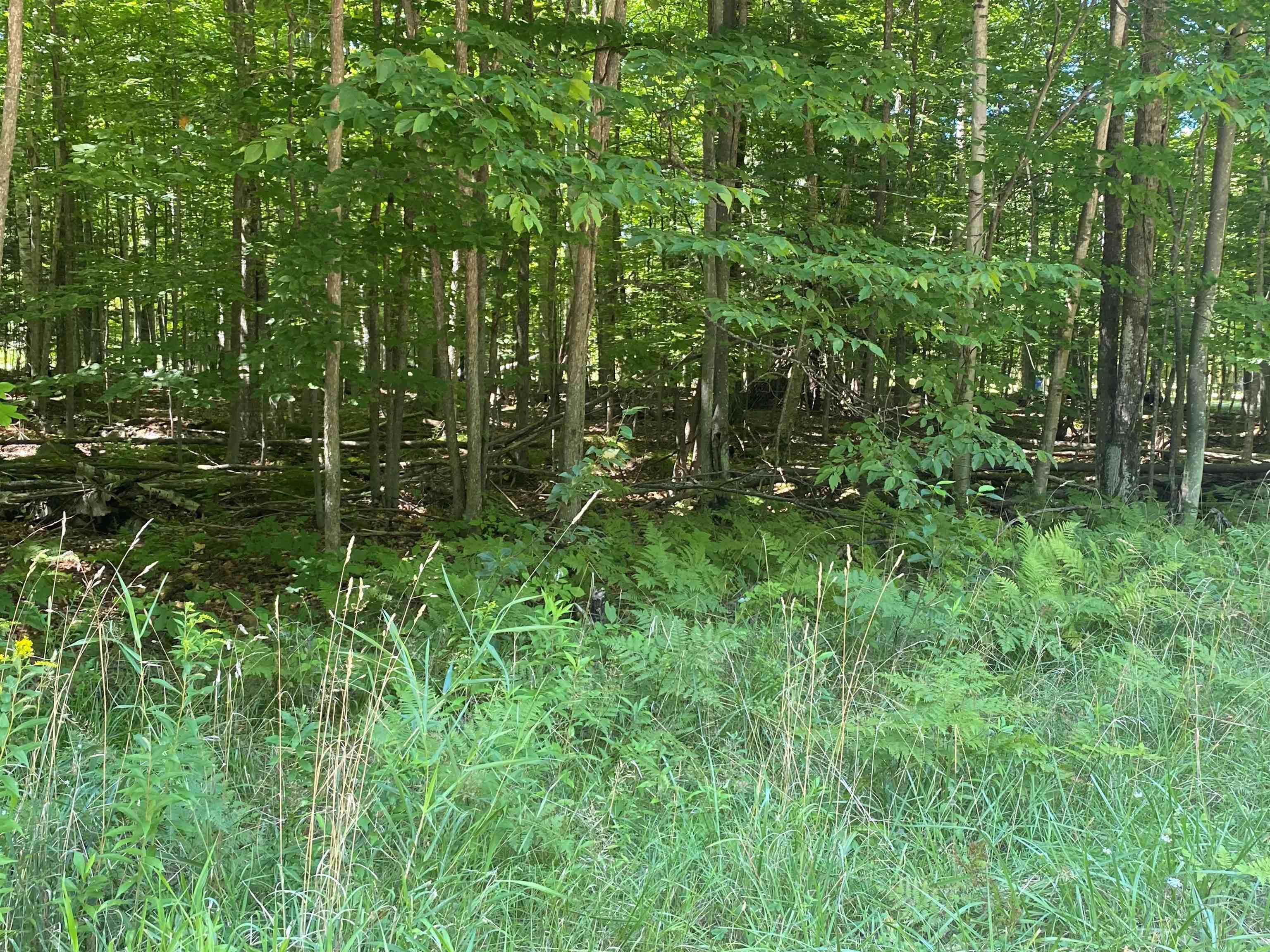 0 Hjelte Road Kewadin, MI 49648 - Photo 3 of 6