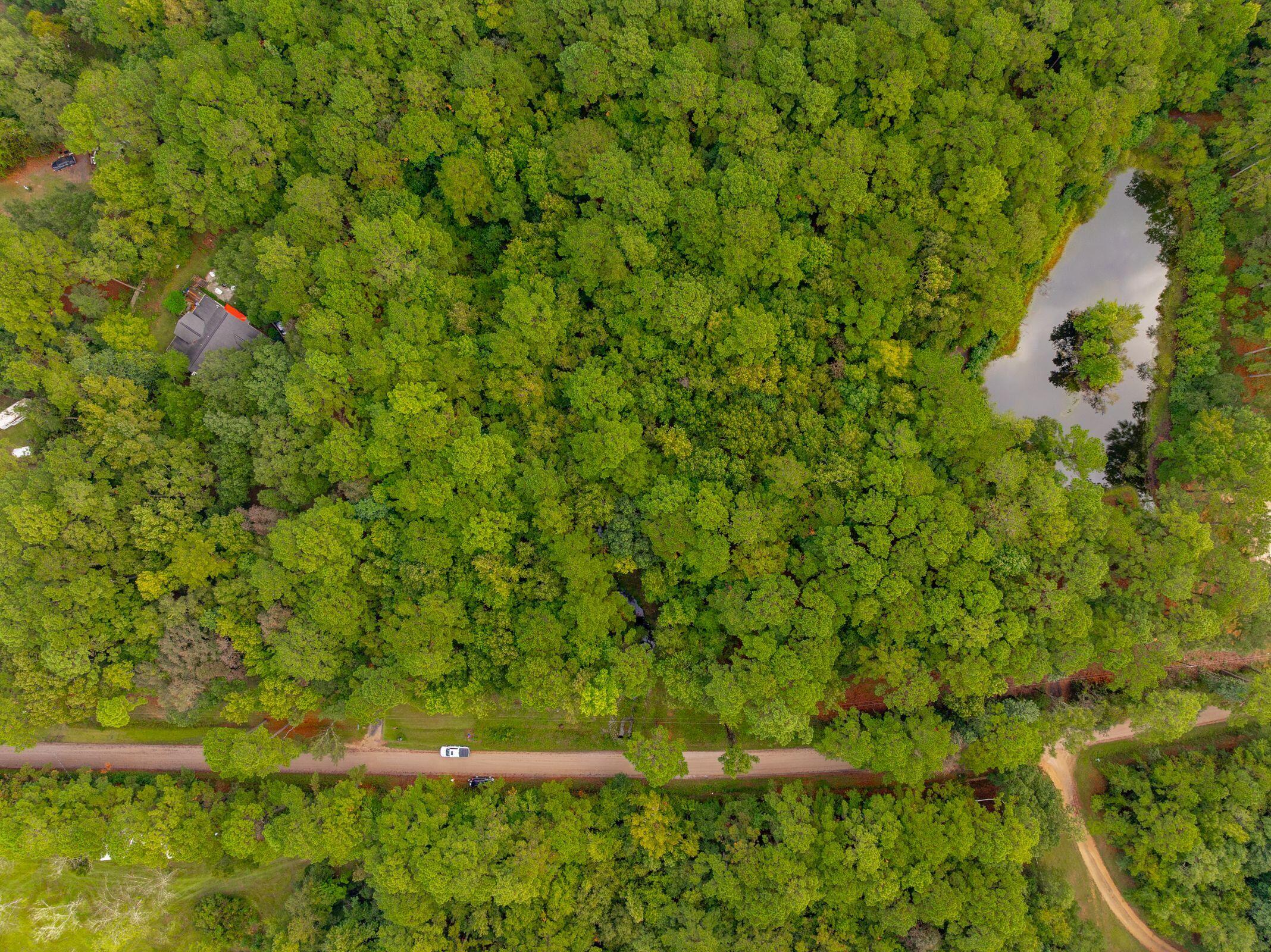 746 Wilson Cemetery Road Awendaw, SC 29429 - Photo 5 of 15