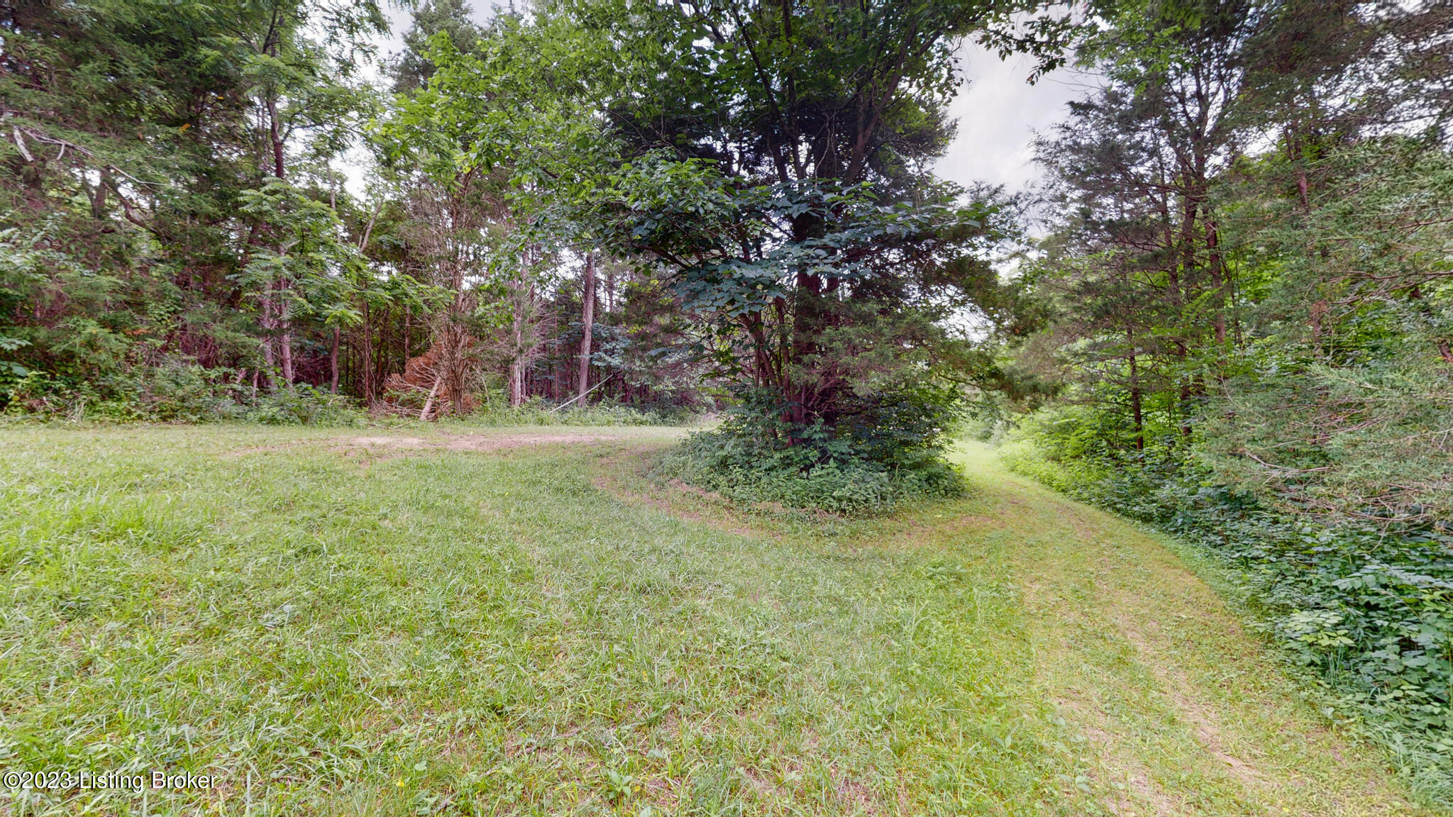 266 Doe Ridge Road Bedford, KY 40006 - Photo 22 of 38 22-print-266 Doe Ridge Rd Bedford KY 400