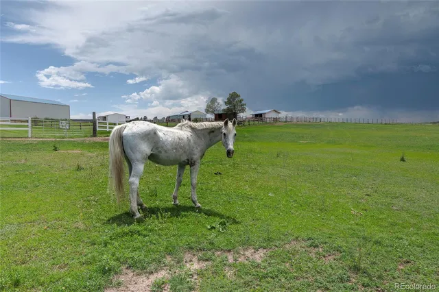 $1,350,000 | 9491 County Road 134, Kiowa, CO 80117