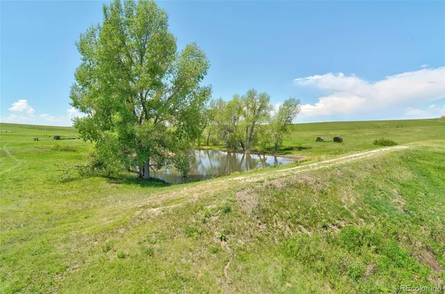 $1,350,000 | 9491 County Road 134, Kiowa, CO 80117