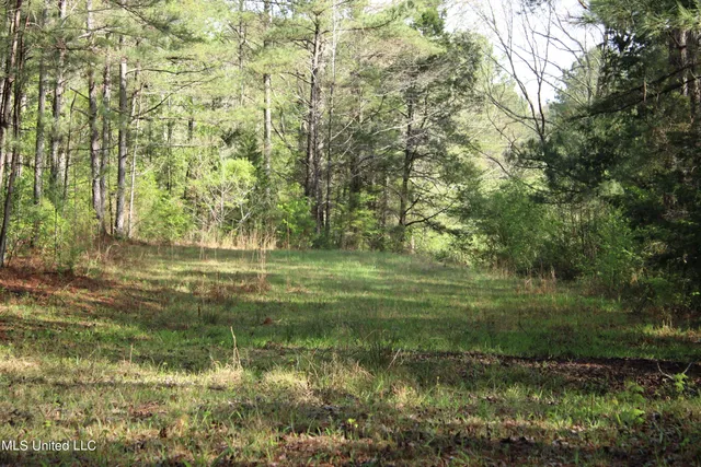 $156,000 | 43 Hwy Kosciusko Ms 39090, Kosciusko, MS 39090