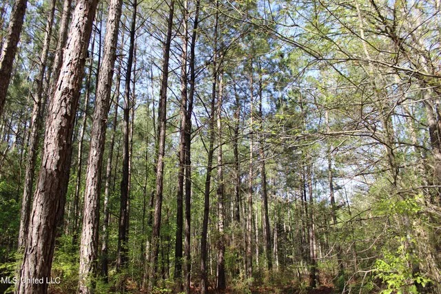 $156,000 | 43 Hwy Kosciusko Ms 39090, Kosciusko, MS 39090