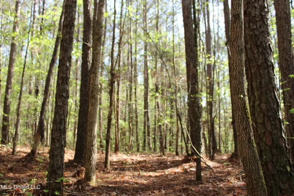 $156,000 | 43 Hwy Kosciusko Ms 39090, Kosciusko, MS 39090