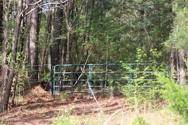 $156,000 | 43 Hwy Kosciusko Ms 39090, Kosciusko, MS 39090