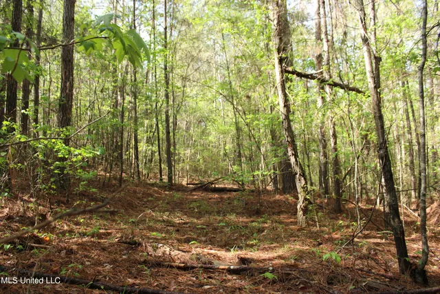 $156,000 | 43 Hwy Kosciusko Ms 39090, Kosciusko, MS 39090