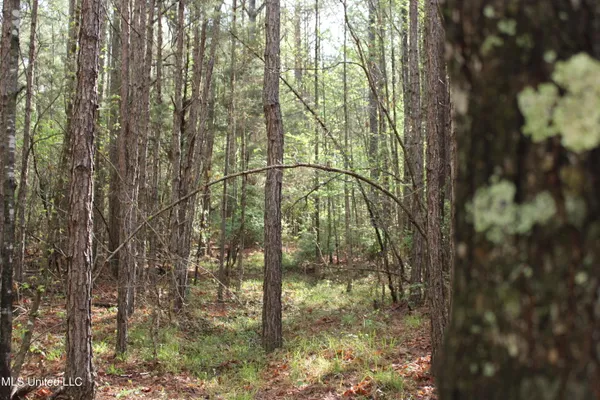 $156,000 | 43 Hwy Kosciusko Ms 39090, Kosciusko, MS 39090