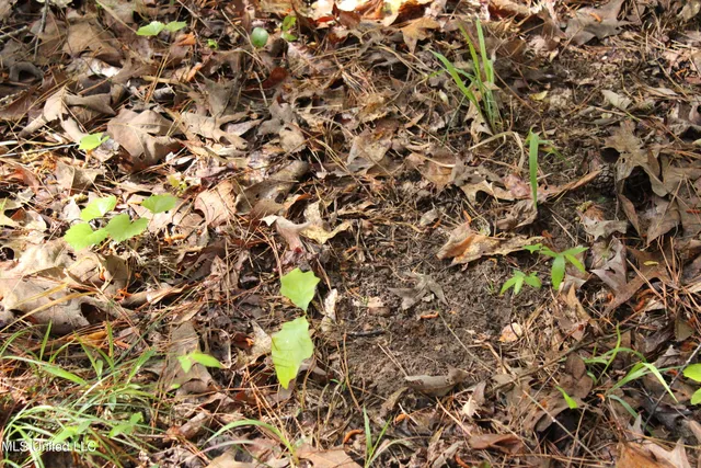 $156,000 | 43 Hwy Kosciusko Ms 39090, Kosciusko, MS 39090