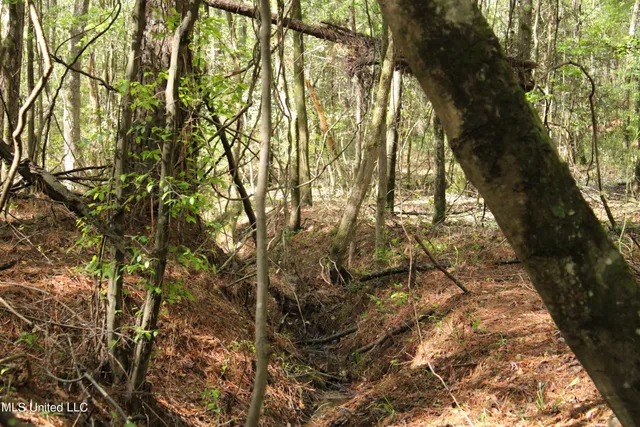 $156,000 | 43 Hwy Kosciusko Ms 39090, Kosciusko, MS 39090