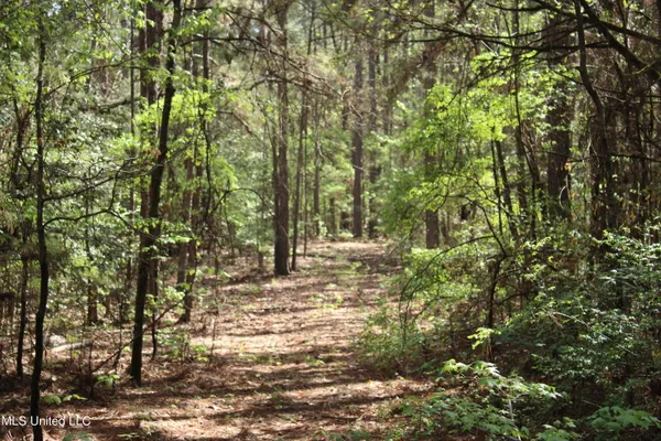 $156,000 | 43 Hwy Kosciusko Ms 39090, Kosciusko, MS 39090