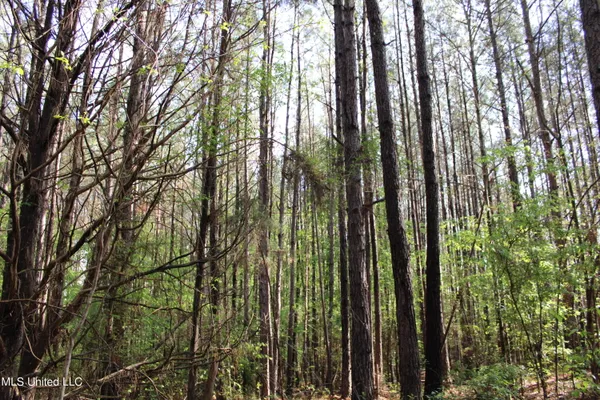 $156,000 | 43 Hwy Kosciusko Ms 39090, Kosciusko, MS 39090