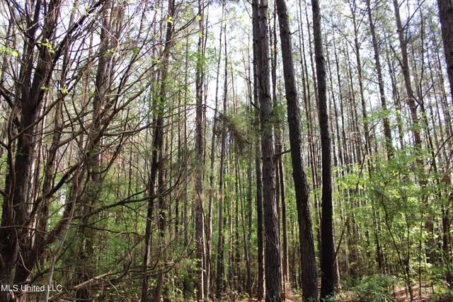 $156,000 | 43 Hwy Kosciusko Ms 39090, Kosciusko, MS 39090