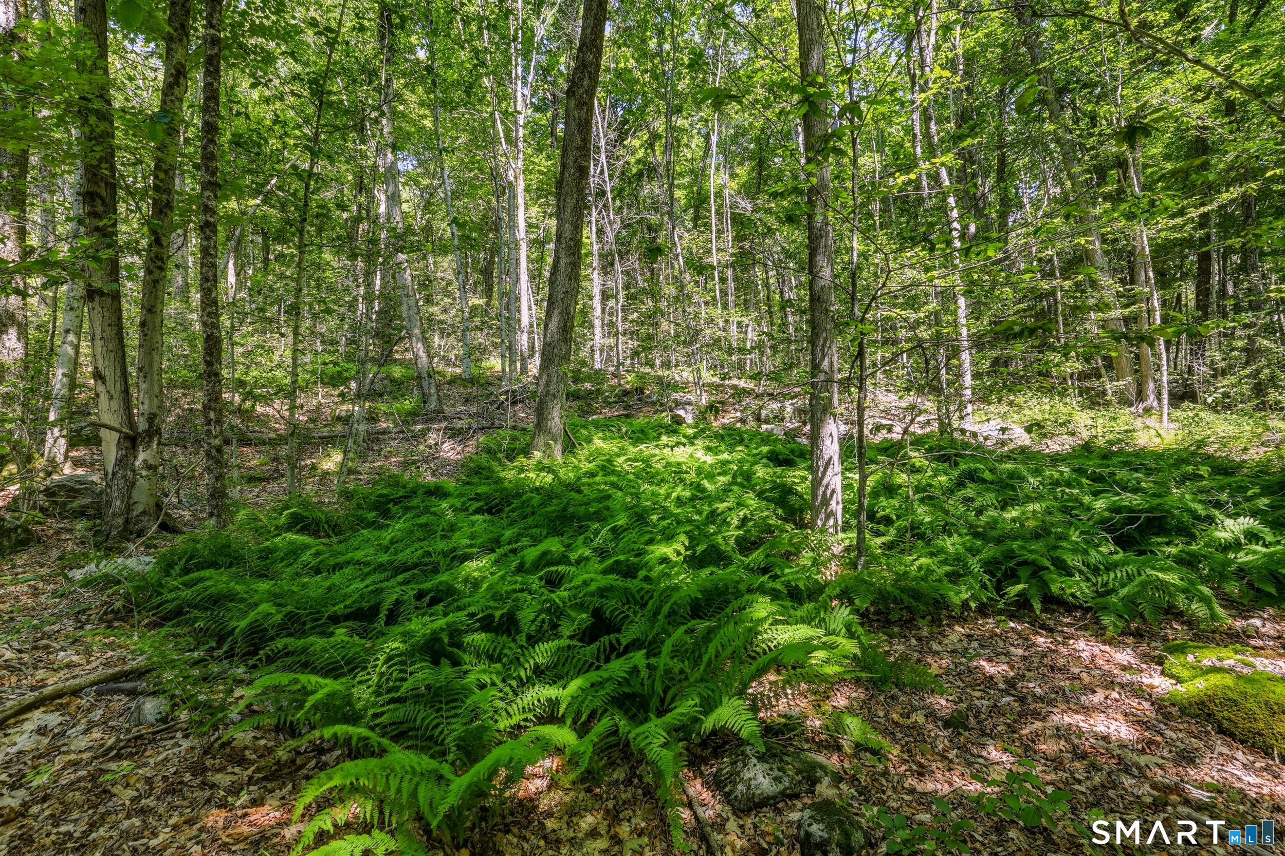 Ashley Road Winsted, CT 06098 - Photo 7 of 19