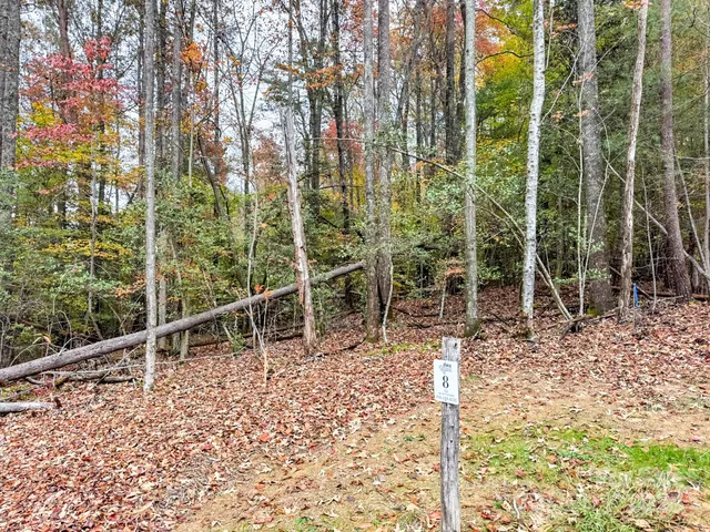 a view of outdoor space with garden