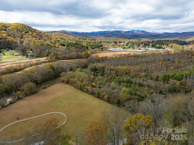 a view of a yard with potted plants