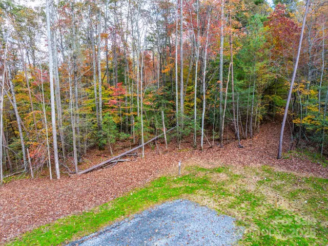 a view of a park with large trees