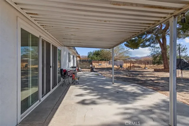 a view of a yard with plants