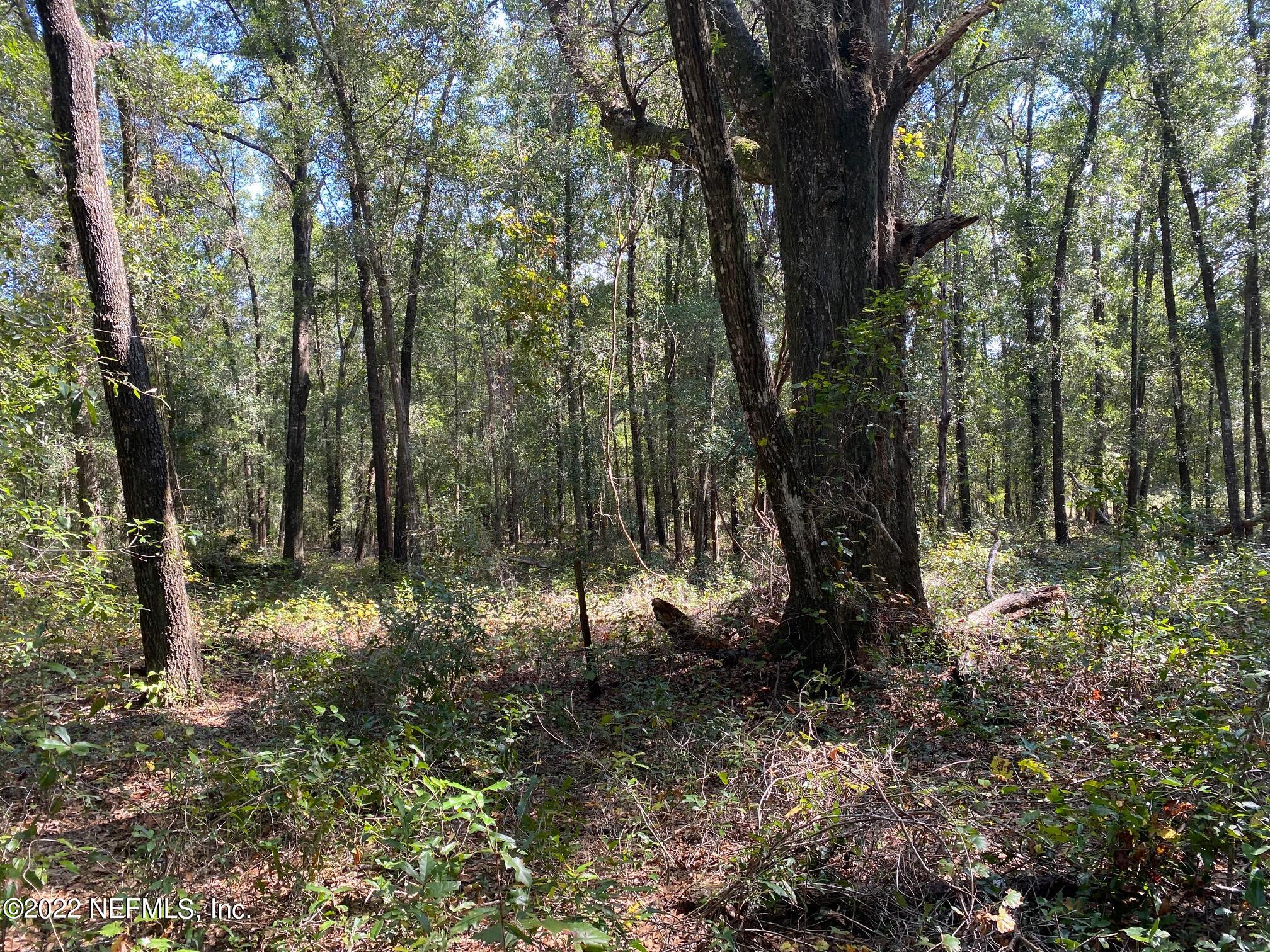 102 Azalea Lane Hawthorne, FL 32640 - Photo 2 of 7 a view of outdoor space and green space