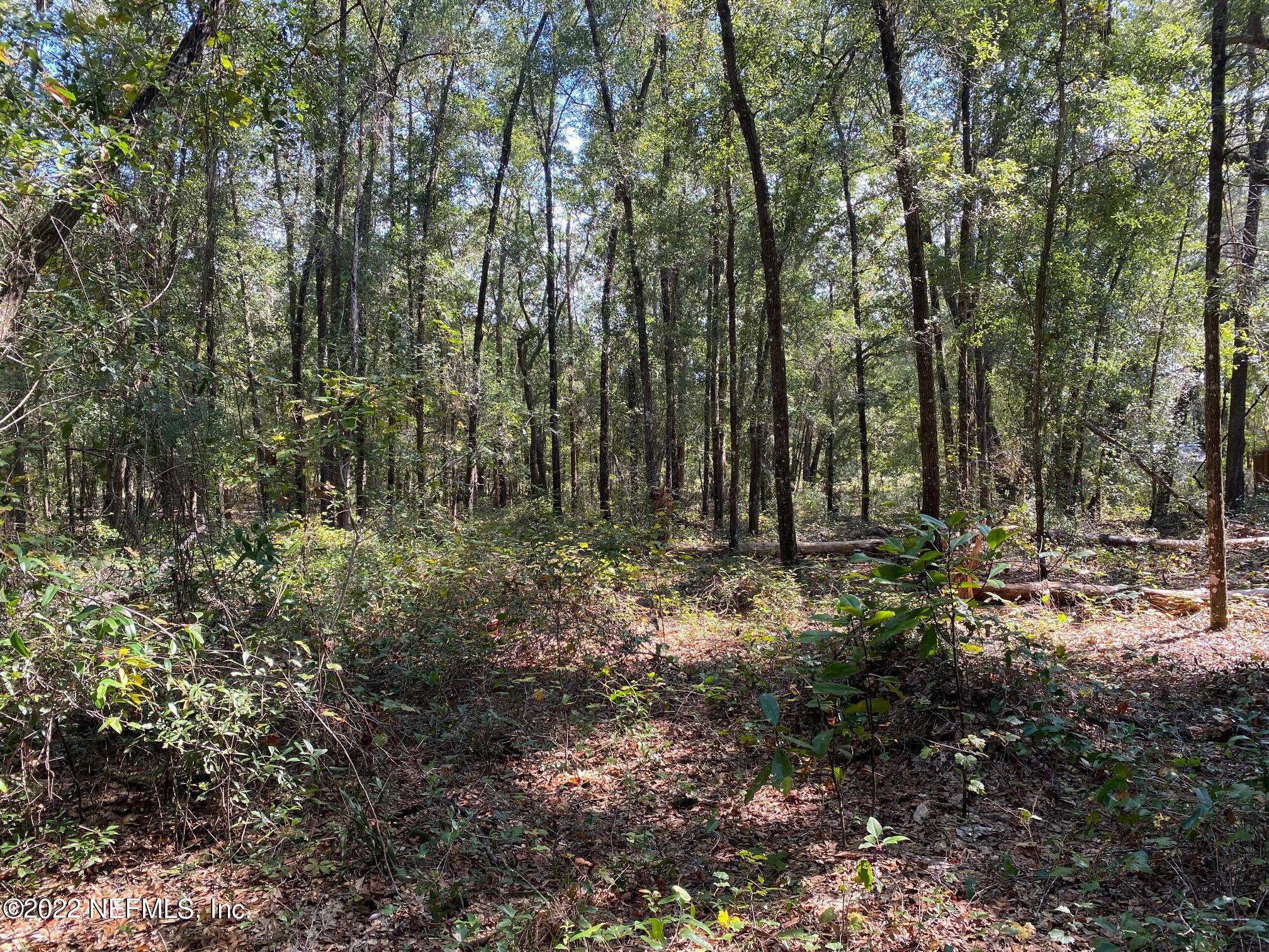 102 Azalea Lane Hawthorne, FL 32640 - Photo 3 of 7 a view of outdoor space with lots of trees