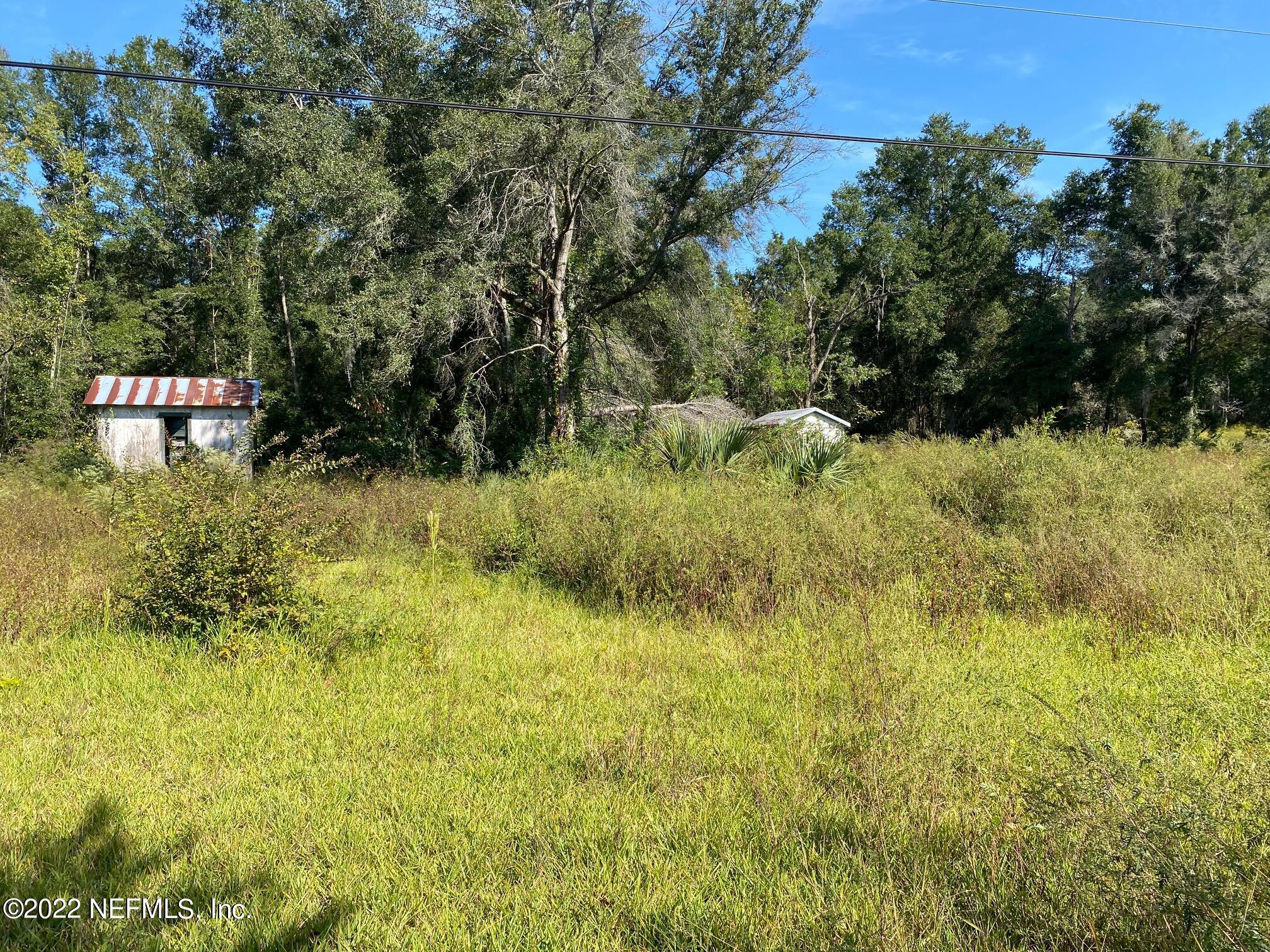 102 Azalea Lane Hawthorne, FL 32640 - Photo 4 of 7 a view of a bunch of trees and bushes