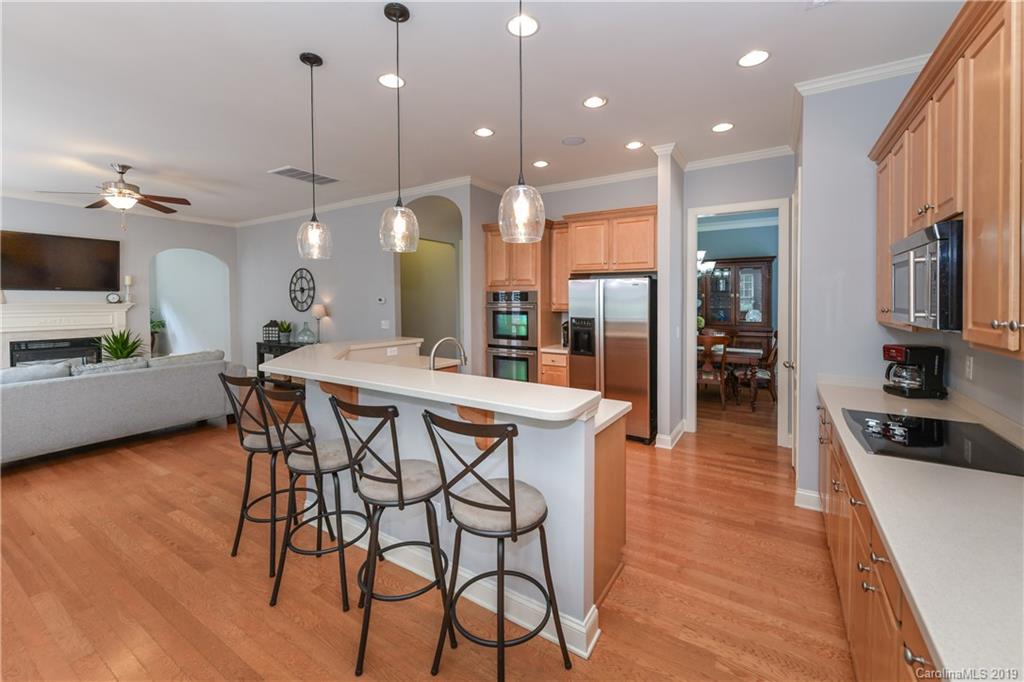 415 Nugget Court Fort Mill, SC 29708 - Photo 9 of 25