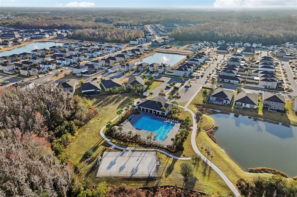 32451 Natural Bridge Road Wesley Chapel, FL 33543 - Photo 37 of 48